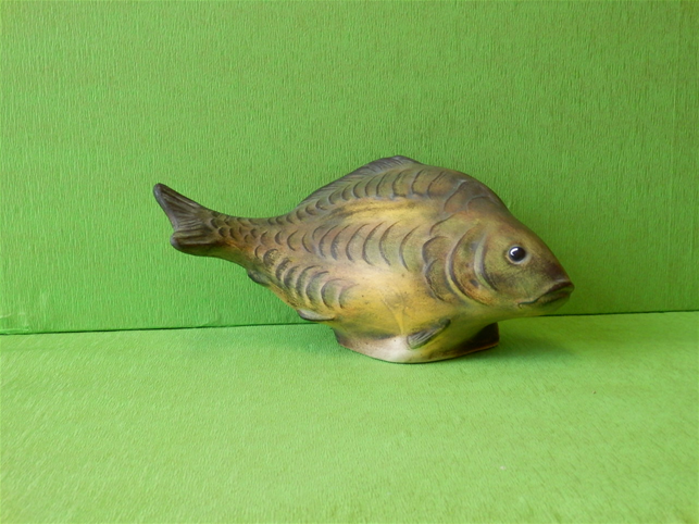 ryba kapr-P